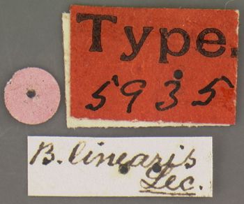 Media type: image;   Entomology 5935 Aspect: labels